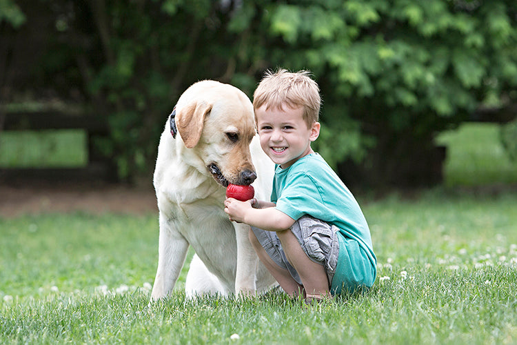 KONG Classic Dog Toy - Red Medium