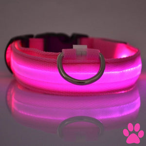 Dog Light Up Glowing Collar For Cat And