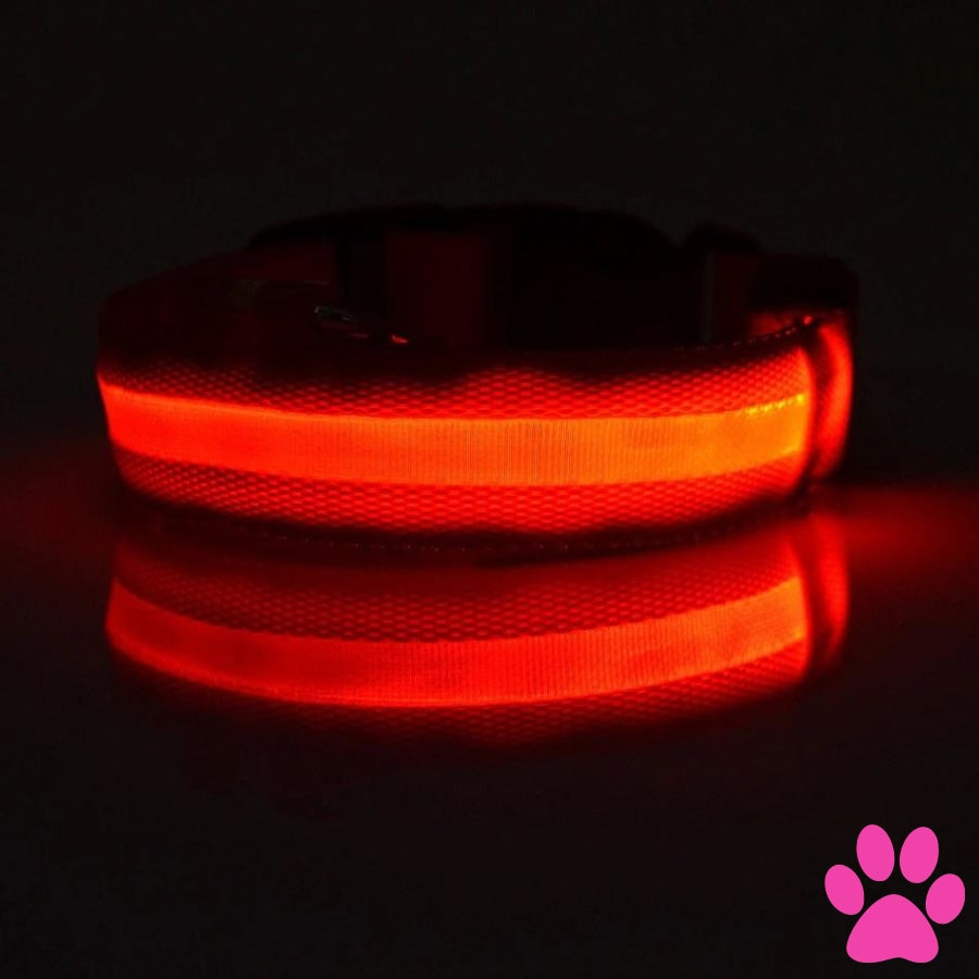 Light up best sale cat collar uk