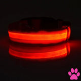 Dog Light Up Glowing Collar For Cat And