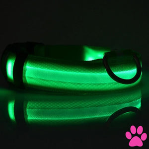 Dog Light Up Glowing Collar For Cat And