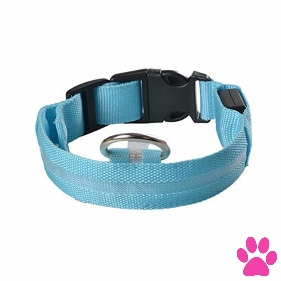 Dog Light Up Glowing Collar For Cat And Blue / M United Kingdom