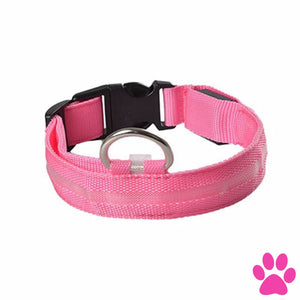 Dog Light Up Glowing Collar For Cat And Pink / Xl United Kingdom