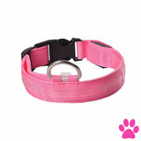 Dog Light Up Glowing Collar For Cat And Pink / Xl United Kingdom