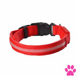 Dog Light Up Glowing Collar For Cat And Red / Xl United Kingdom