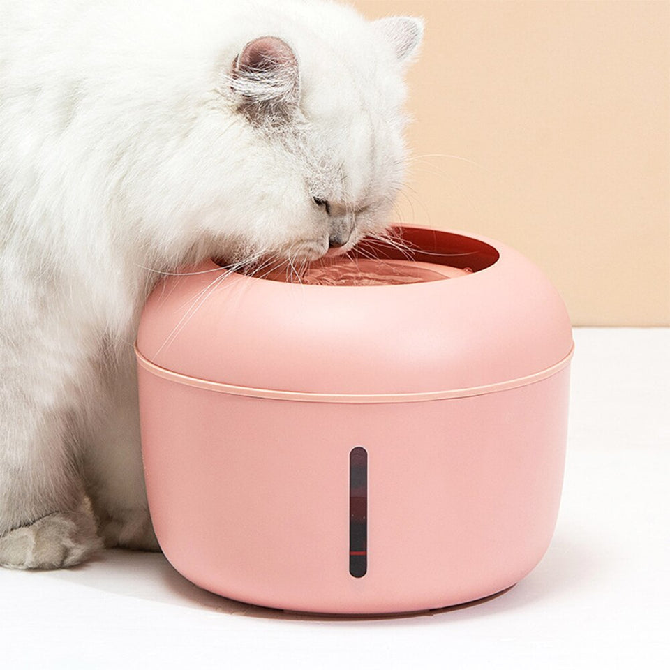 Pet Drinking Water Fountain